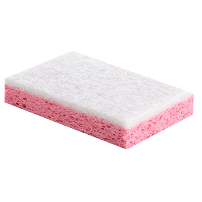 Tampon sur éponge végétale et synthétique Éponge SPÉCIALE SANITAIRE<br>Lot de 10